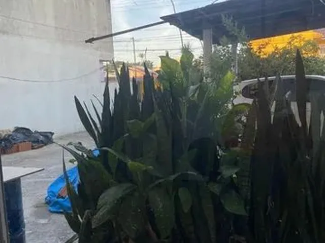 Imagem 8: Sala Comercial Proximo Ao Bistek Av das Torres