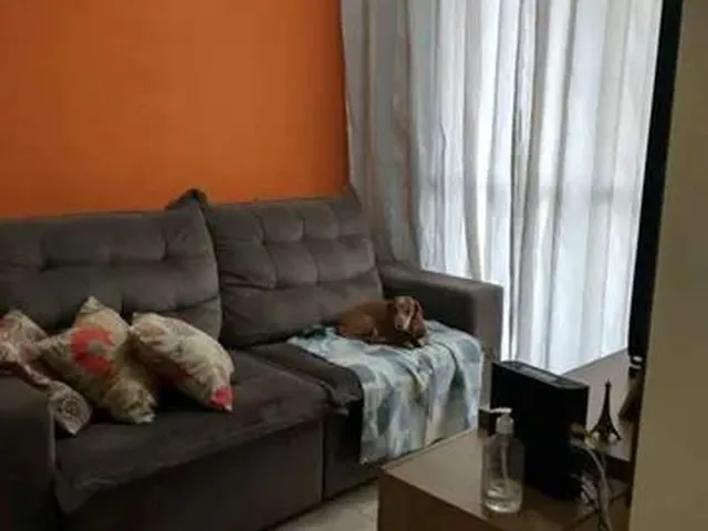 Imagem: Apartamento À Venda em Silveira com 70