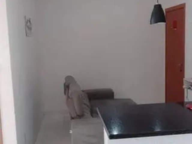 Imagem 10: Apartamento com 2 Dormitórios para Alugar, 47 M² por R$ 1.050,00/Mês - Universidade