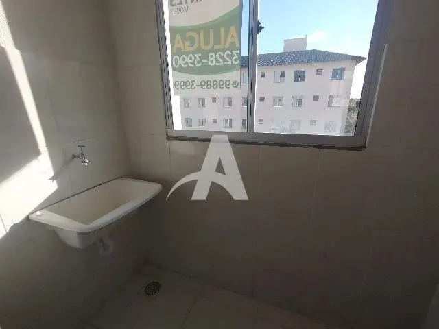 Imagem 11: Aluguel Apartamento Mansour
