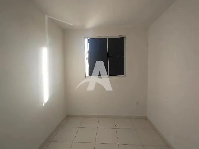 Imagem 6: Aluguel Apartamento Mansour