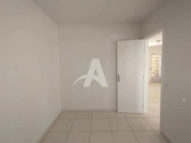 Imagem 5: Aluguel Apartamento Mansour