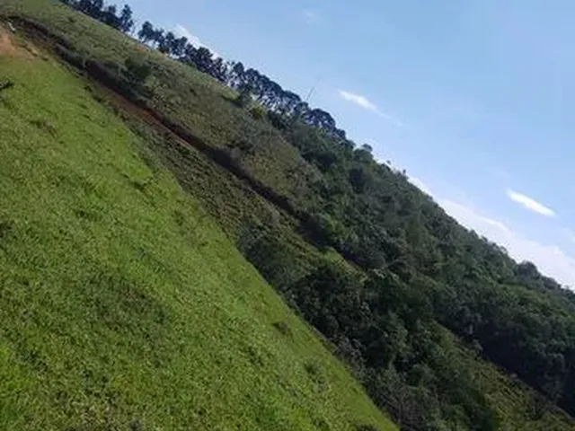 Imagem: Lote/Terreno para Venda Tem 500 Metros Quadrados