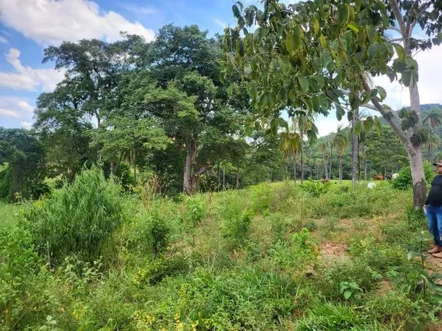Imagem 2: Terreno com Rio nos Fundos