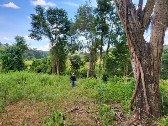 Imagem 6: Terreno com Rio nos Fundos