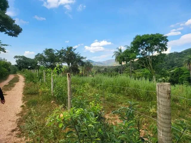Imagem 4: Terreno com Rio nos Fundos