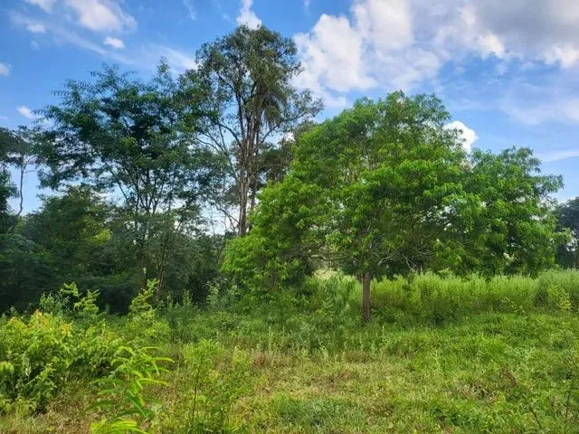 Imagem 5: Terreno com Rio nos Fundos