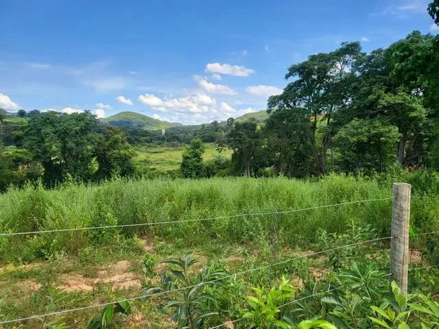 Imagem 9: Terreno com Rio nos Fundos