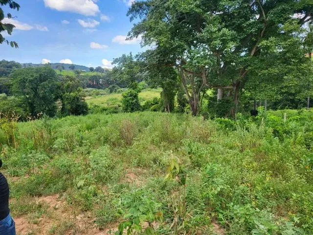 Imagem 7: Terreno com Rio nos Fundos