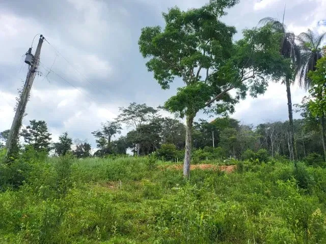 Imagem 8: Terreno com Rio nos Fundos