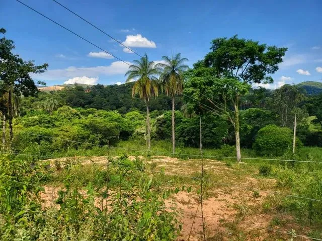 Imagem 11: Terreno com Rio nos Fundos