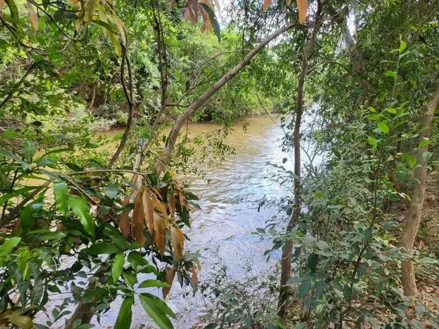 Imagem 13: Terreno com Rio nos Fundos