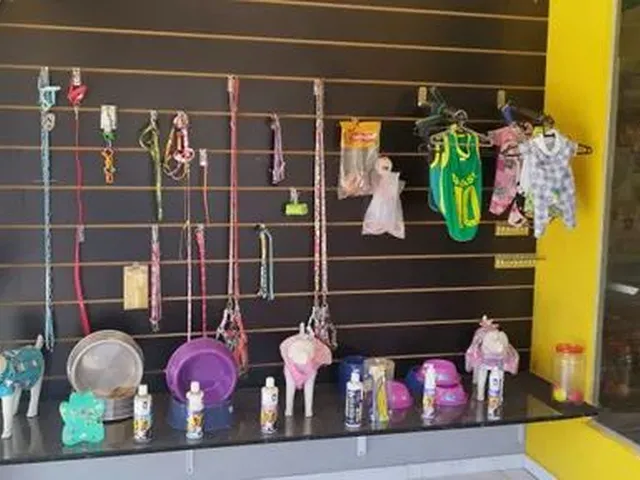 Imagem: Pet Shop