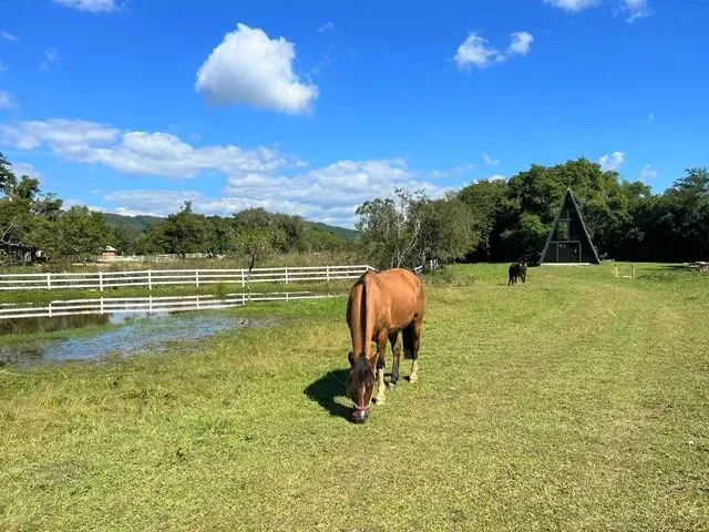 Imagem 12: Fazenda/Sítio/Chácara para Venda com 5000 Metros Quadrados com 1 Quarto em Poço Fundo