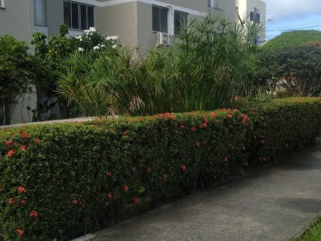 Imagem: 3 Dormitórios, 1 Suítes, 1 Banheiros