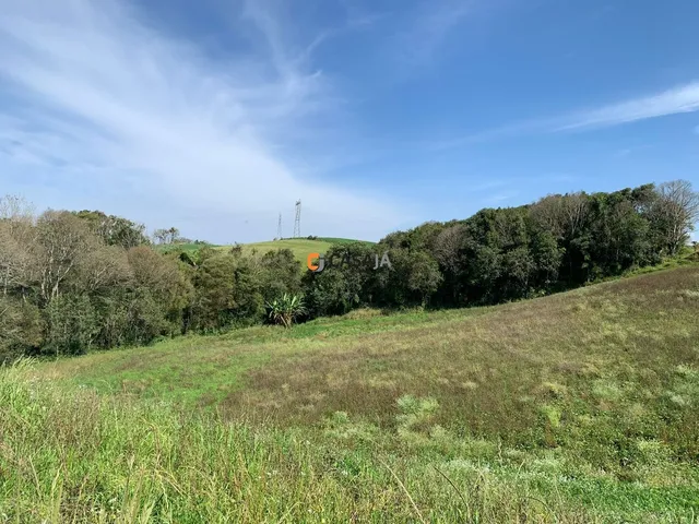 Imagem: Chacara Residencial em Campo Largo - Pr
