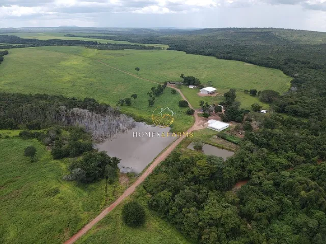 Imagem: Fazenda Dupla Aptidão