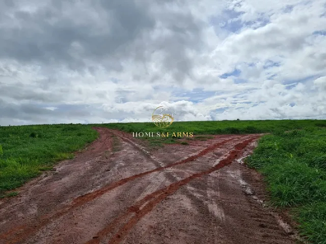 Imagem 15: Fazenda Dupla Aptidão