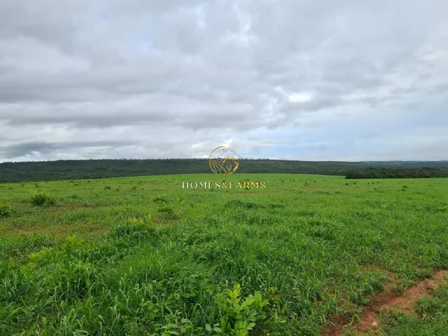 Imagem 3: Fazenda Dupla Aptidão