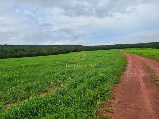 Imagem 11: Fazenda Dupla Aptidão