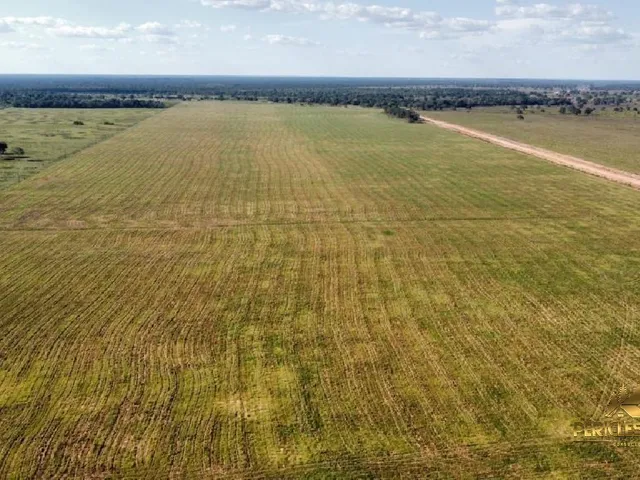 Imagem: Fazenda Localizada no Município de Araguaiana