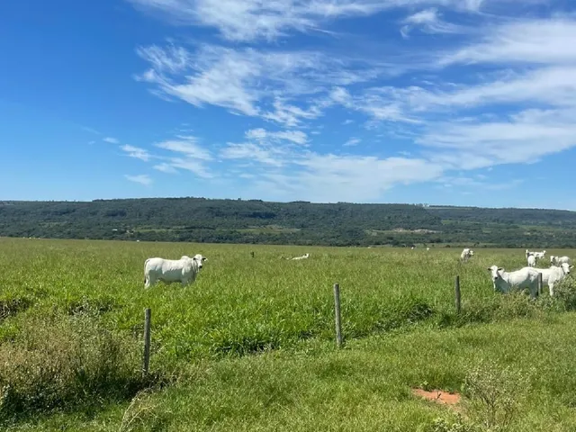 Imagem: Fazenda em Mato Grosso