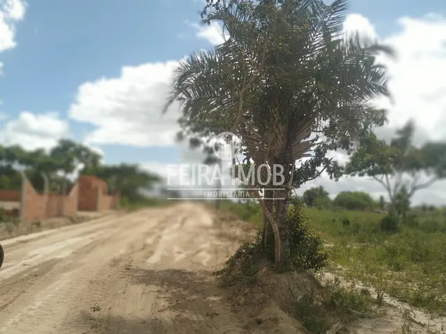Imagem 7: Terreno / lote com venda por R$33.000