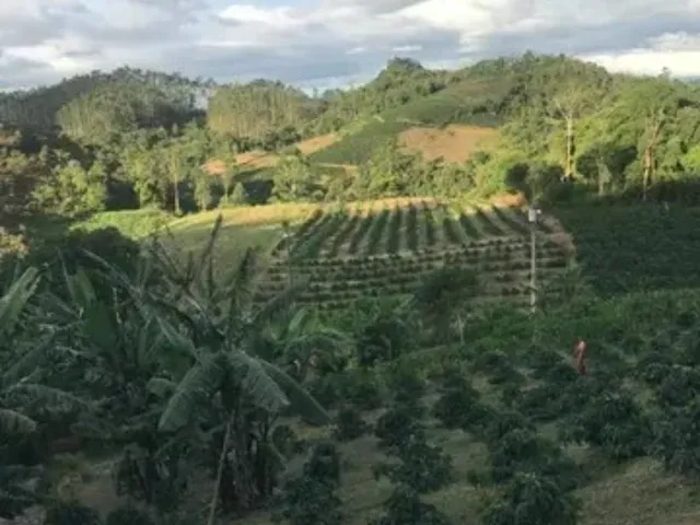 Imagem: Excelente Propriedade nas Montanhas em Mata
