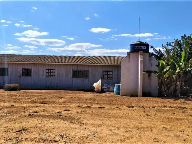Imagem 8: Fazenda para Soja, Milho, Algodão, Pecuária em Nova Maringá - Mato Grosso, Distante 80