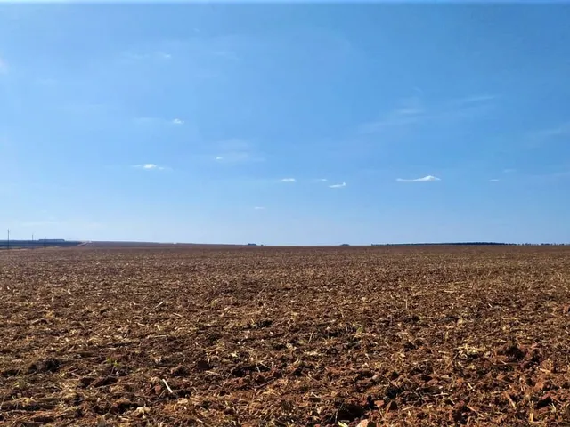 Imagem 12: Fazenda para Soja, Milho, Algodão, Pecuária em Nova Maringá - Mato Grosso, Distante 80