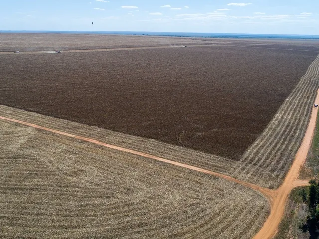 Imagem 10: Fazenda para Soja, Milho, Algodão, Pecuária em Nova Maringá - Mato Grosso, Distante 80