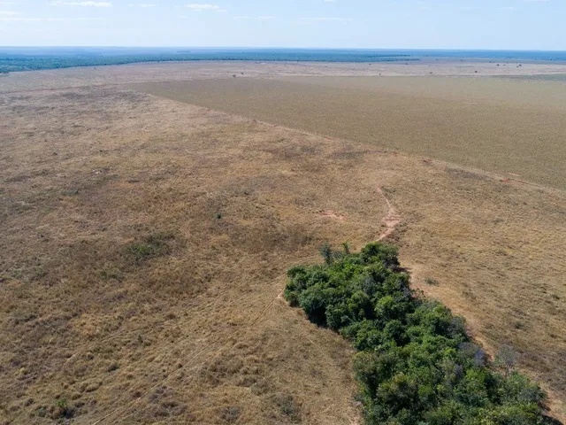 Imagem 15: Fazenda para Soja, Milho, Algodão, Pecuária em Nova Maringá - Mato Grosso, Distante 80