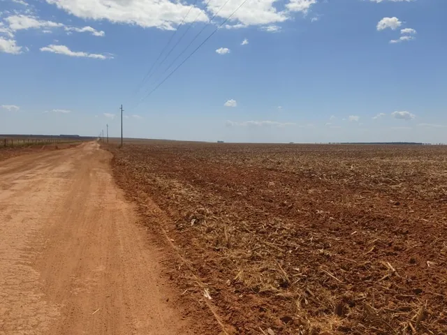 Imagem 16: Fazenda para Soja, Milho, Algodão, Pecuária em Nova Maringá - Mato Grosso, Distante 80