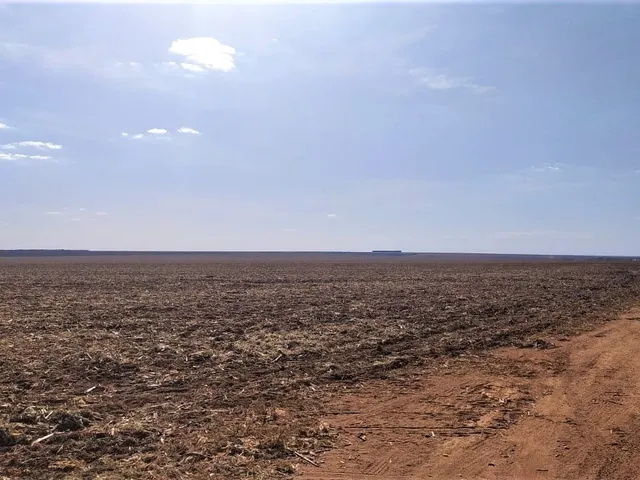Imagem 2: Fazenda para Soja, Milho, Algodão, Pecuária em Nova Maringá - Mato Grosso, Distante 80