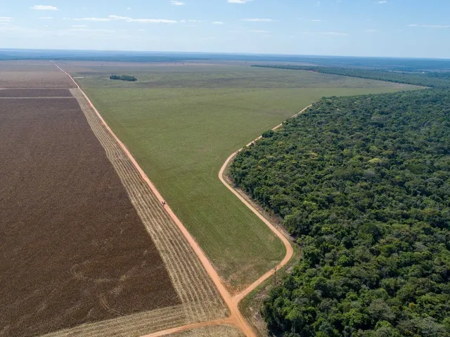 Imagem 6: Fazenda para Soja, Milho, Algodão, Pecuária em Nova Maringá - Mato Grosso, Distante 80