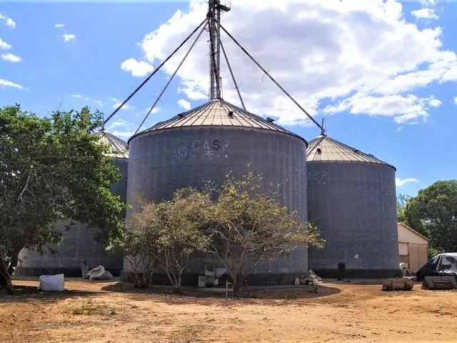 Imagem 11: Fazenda para Soja, Milho, Algodão, Pecuária em Nova Maringá - Mato Grosso, Distante 80