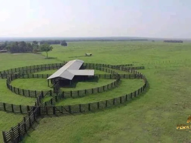 Imagem: Espetáculo de Fazenda a Venda em Mato Grosso