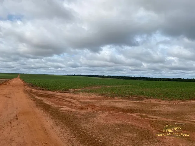 Imagem: Fazenda Entre Nova Mutum e Lucas do Rio