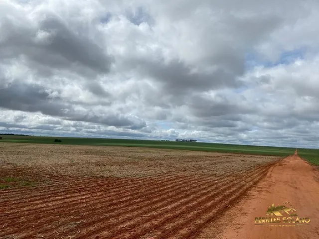 Imagem 6: Fazenda Entre Nova Mutum e Lucas do Rio Verde Mt