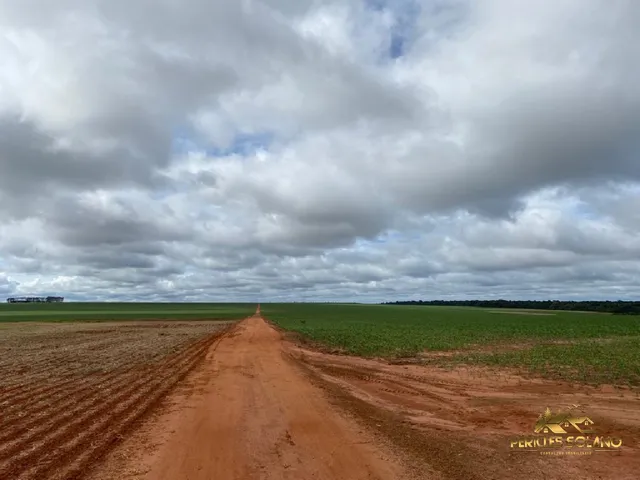 Imagem 3: Fazenda Entre Nova Mutum e Lucas do Rio Verde Mt