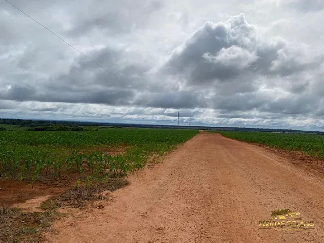Imagem 9: Fazenda Entre Nova Mutum e Lucas do Rio Verde Mt