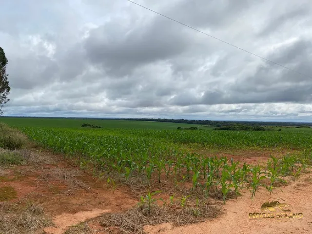Imagem 2: Fazenda Entre Nova Mutum e Lucas do Rio Verde Mt