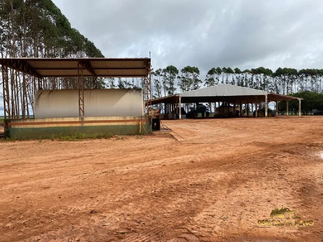 Imagem 7: Fazenda Entre Nova Mutum e Lucas do Rio Verde Mt
