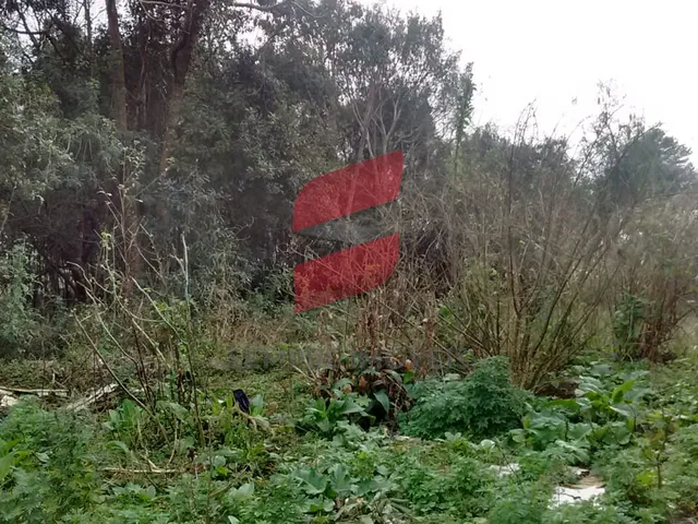 Imagem 9: 2855M² de Área Total na Rua Clemente Simião