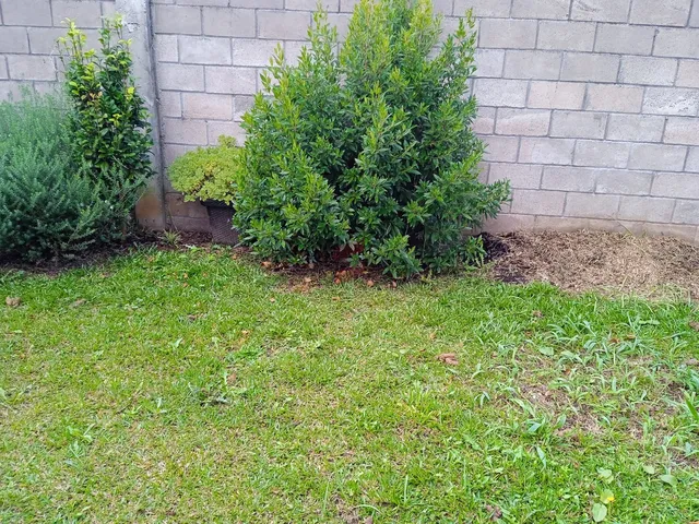 Imagem 12: Casa com 2 Dormitórios À Venda com 204.03M² por R$ 310.000,00 no Bairro Vila Juliana