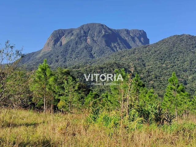 Imagem: Chácara À Venda, 42.000 M² - Pedra Branca