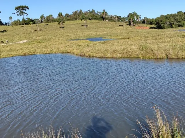 Imagem: Terreno Rural em Balsa Nova - Pr, Bugre