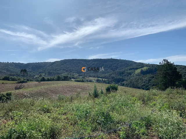 Imagem: Chacara Rural em Balsa Nova - Pr, Bugre