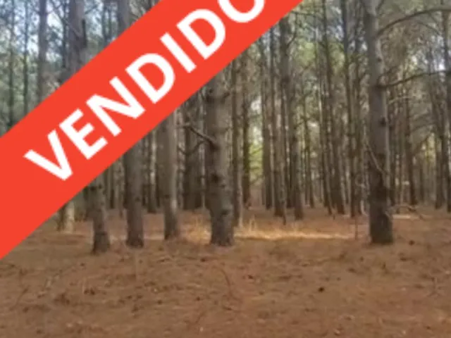 Imagem: Fazenda Localizado(A) no Bairro em Mostardas
