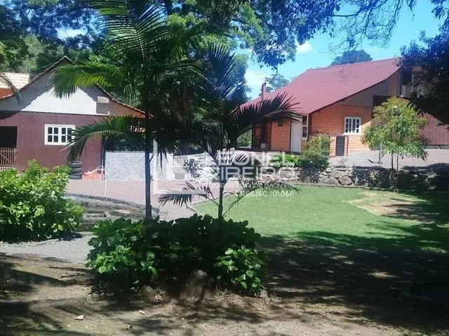 Imagem 16: Sítio À Venda em Benedito Novo/Sc